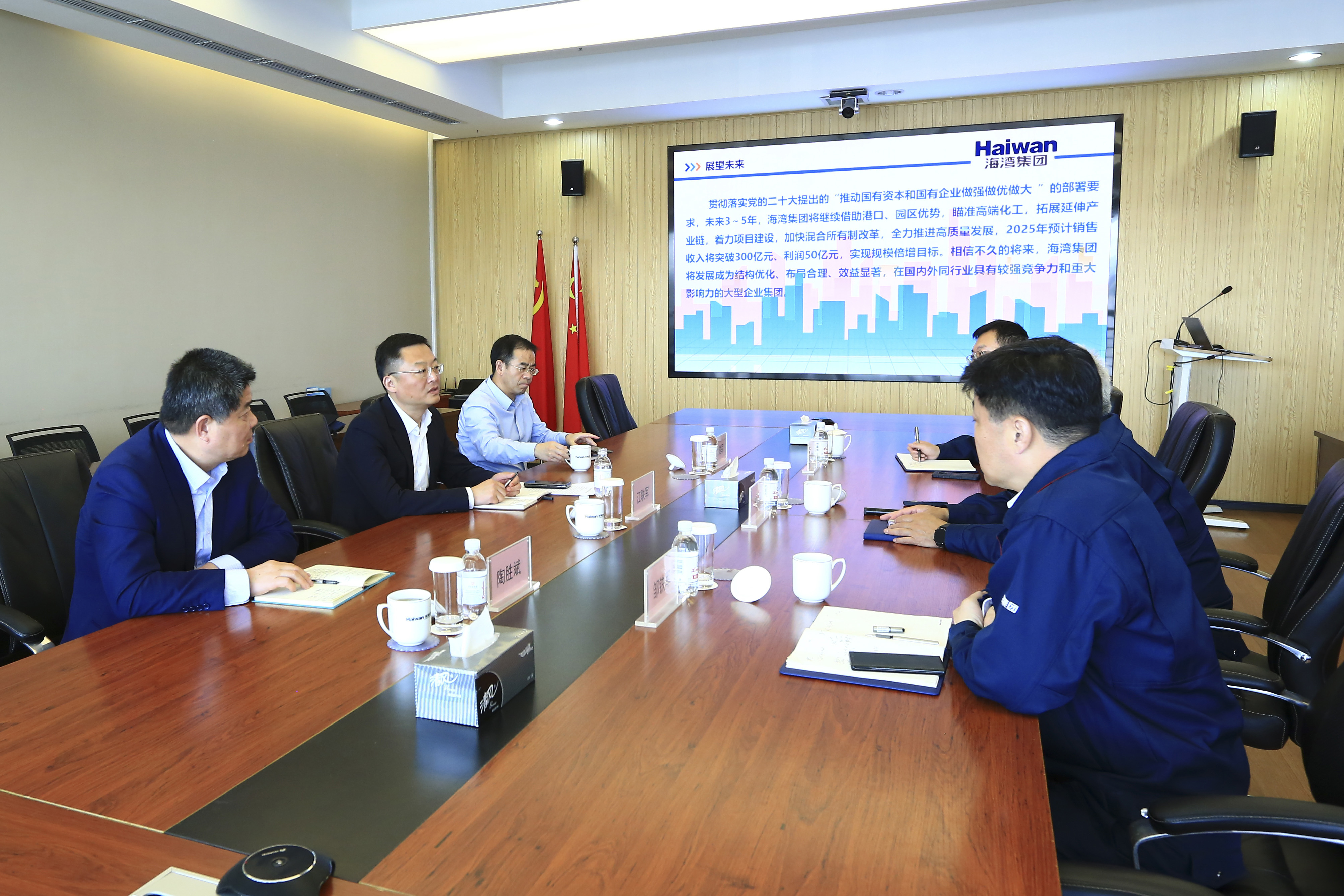 市政府副(fu)秘書長到海(hǎi)灣化學調研(yan)