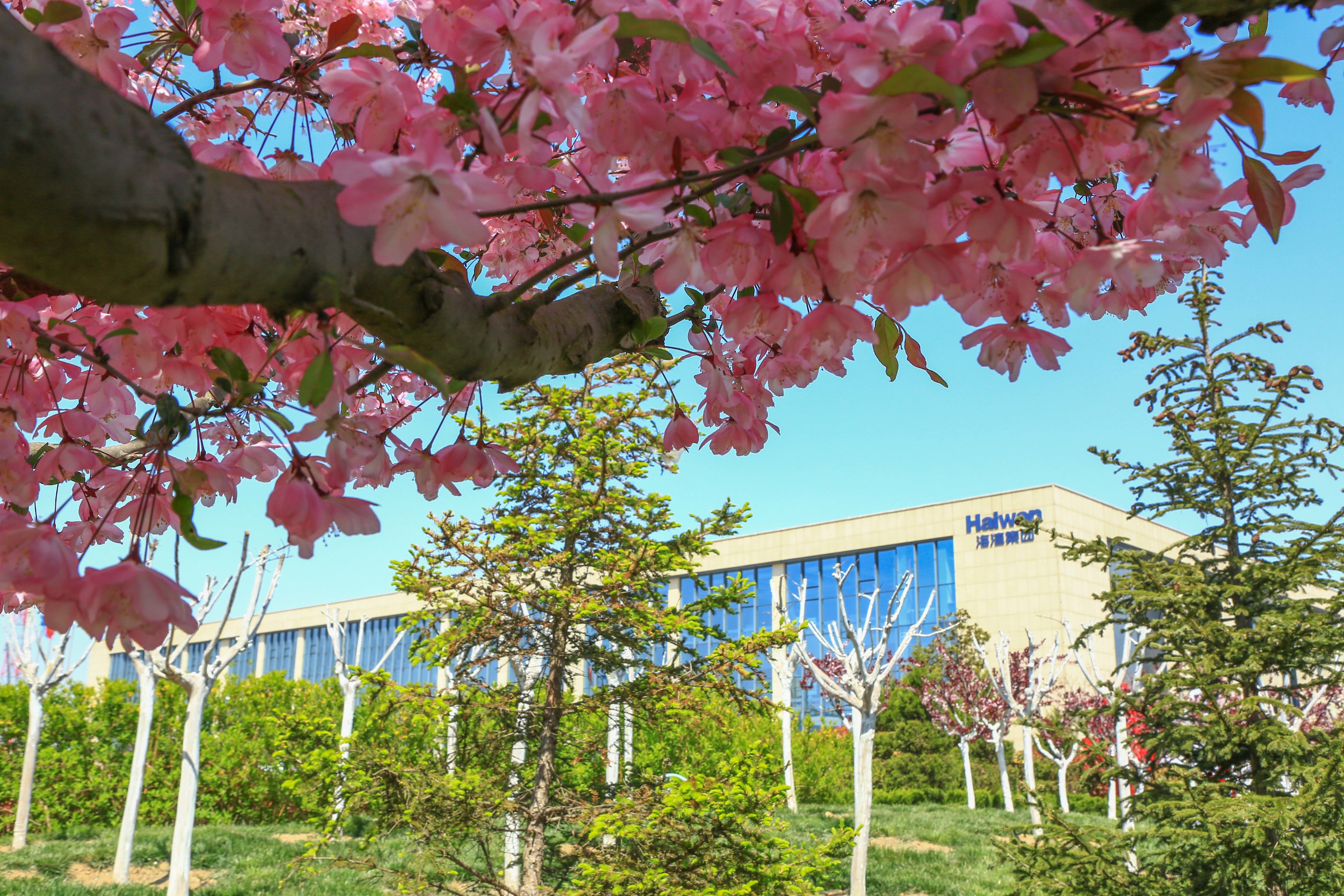 海(hǎi)灣化學組織(zhi)“愛心基金”捐(juan)款